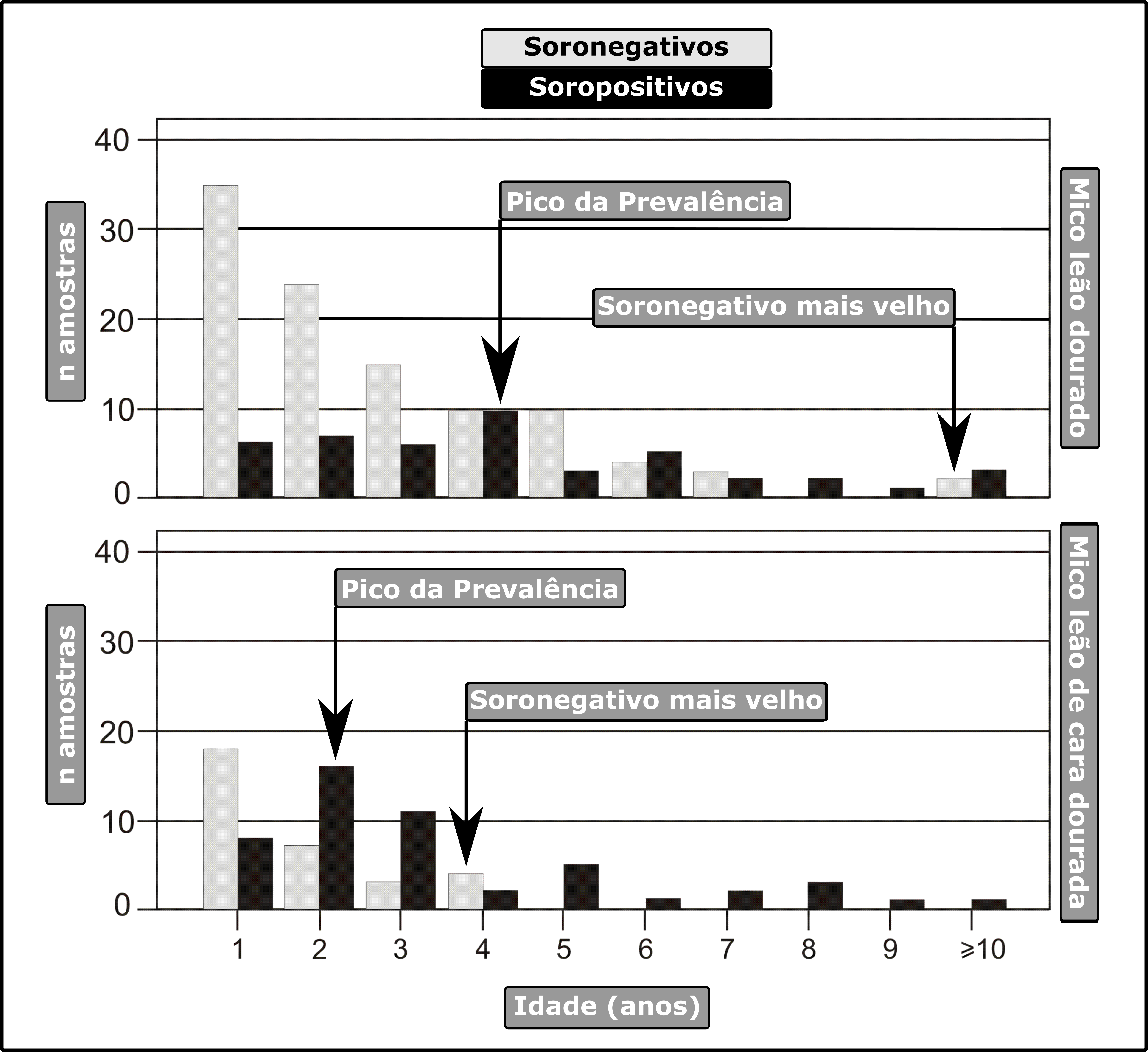 Gráfico demonstrando a variação da frequência de soropositividade para Trypanosoma cruzi com a idade de Micos leões dourados e de cara dourada, respectivamente Leontophitecus rosalia e Leontopithecus chrysomellas. A prevalência média da infecção em Micos leões dourados oscilava entre 45-55% dependendo da população. Já a prevalência na população de Micos leões de cara dourada chegava a 85% da população, refletindo uma incidência maior. Pode ser visto no gráfico o pico da prevalência mais prematuro e mais alto nesta última espécie, bem como a inexistência de soronegativos precocemente na população. Gráfico traduzido e adaptado de Rafael V. Monteiro, Dietz, Raboy, et al. (2007).