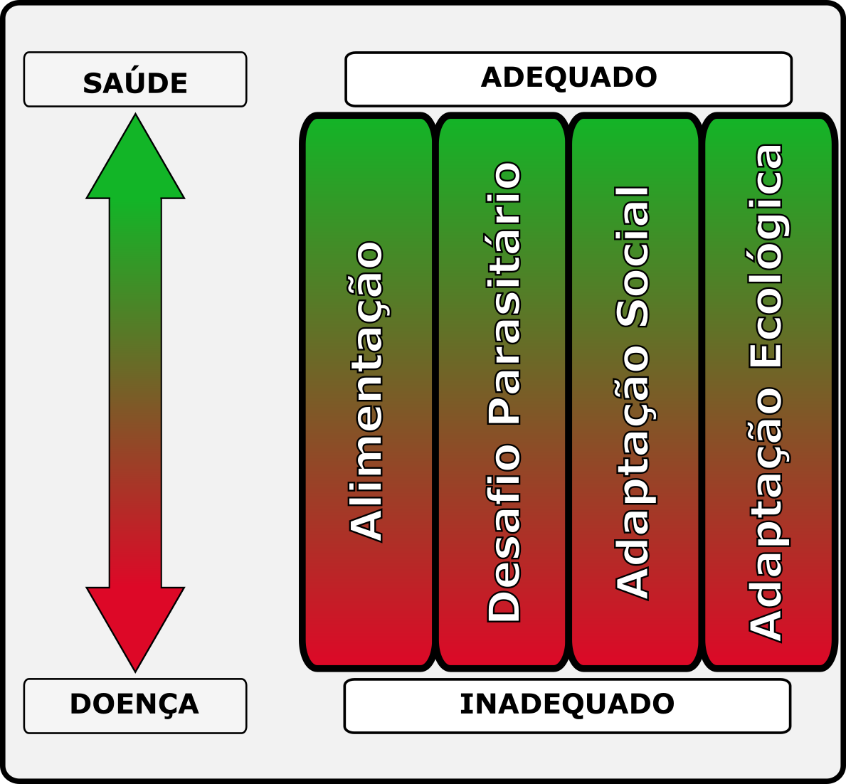 Visão atual das relações epidemiológicas. Nesta visão cada indivíduo animal em um ecossistema está sujeito a níveis diários adequados ou não de Alimentação, Desafio Parasitário, Adaptação Social e Adaptação Ecológica. Excessos e Faltas destes componentes ambientais são capazes de causar doença. Níveis adequados conferem boa saúde. Mesmo que alguns destas variáveis estejam em níveis adequados, o afastamento gradual do nível ótimo nas outras pode causar doença clínica.