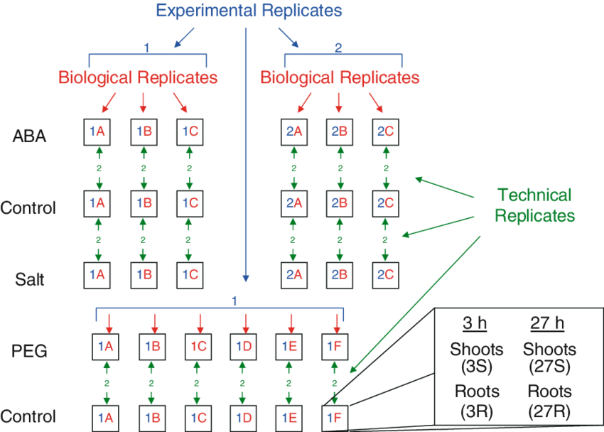 replicates vs experimental