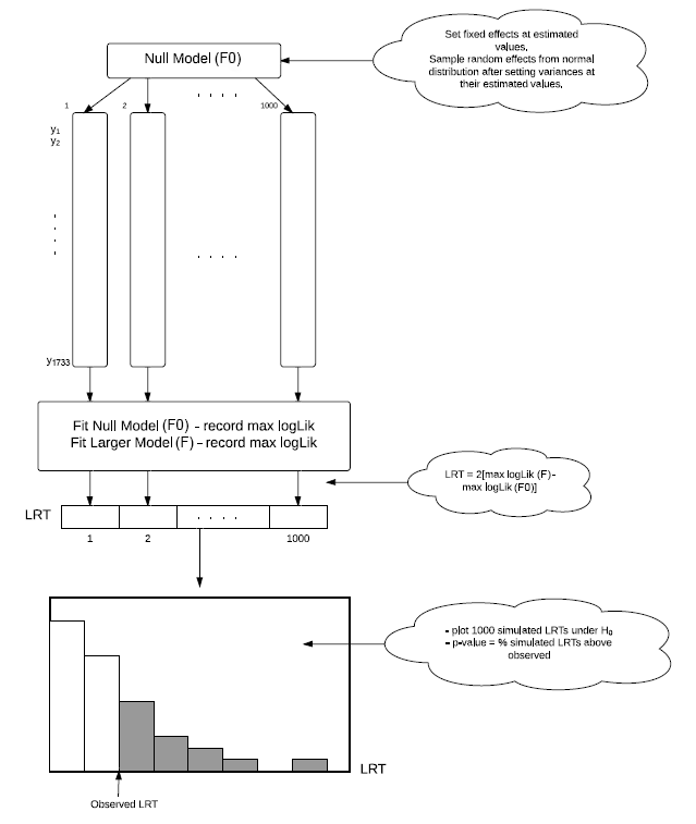 The steps in conducting a parametric bootstrap test comparing Models F and F0.