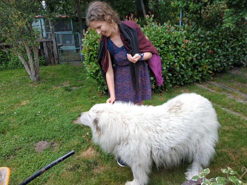 The most sheep-like dog we've ever seen, in the garden of a friendly local who showed us around.