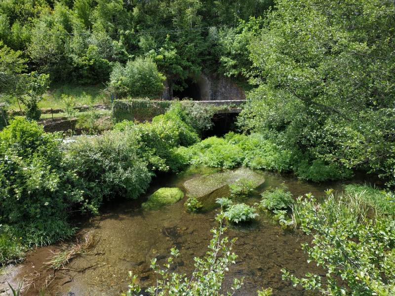 More abundant nature. Galicia teams with waterways and greenery.