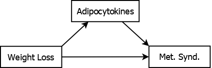 Box with the words weight loss inside, the predictor,  with an arrow pointing to another box with the words metabolic syndrom inside, the outcome. The predictor box has an arrow pointing to a third box with the word adipocytokines inside, the mediator, and the mediator box has an arrow  pointing to the outcome