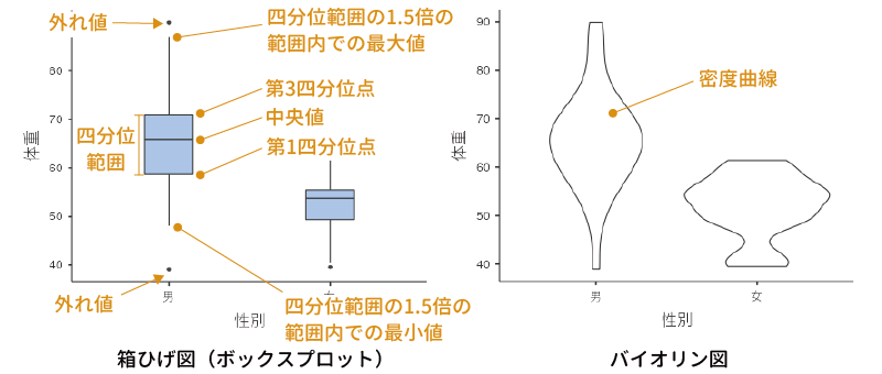 箱ひげ図とバイオリン図