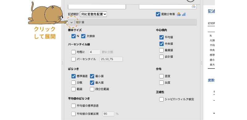 統計量の詳細設定