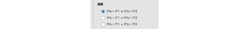 仮説の設定項目