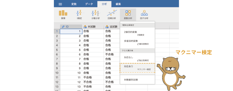 マクニマー検定の実行