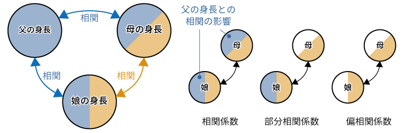 父，母，娘の身長の関係と相関係数，部分相関係数，偏相関係数