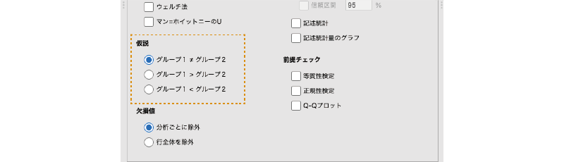 Hypothesis（仮説）の設定項目