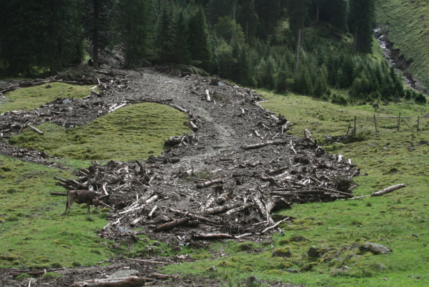 Debris-flow event, 2010; Sölktal (AUT)