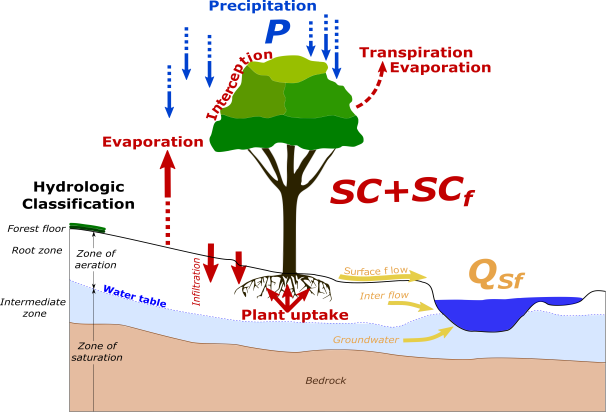 Waterbalance in forests