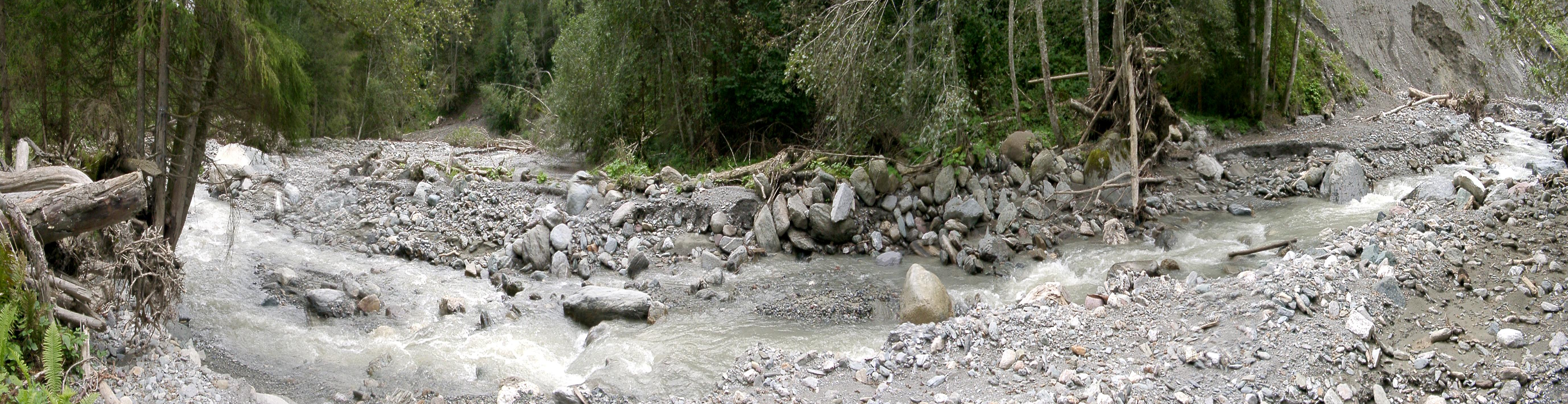 Typical section of a torrent with evidence of sediment transport processes.