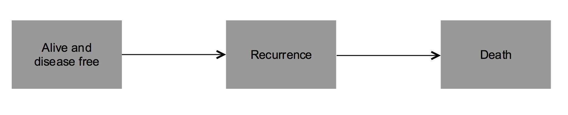 Scheme of the model.