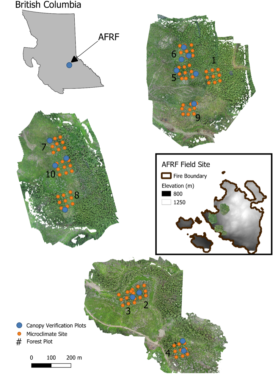 Plot Set Up and Orthophotos for Alex Fraser Research Forest