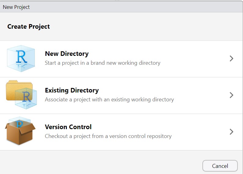 Interface for Creating a Project in R