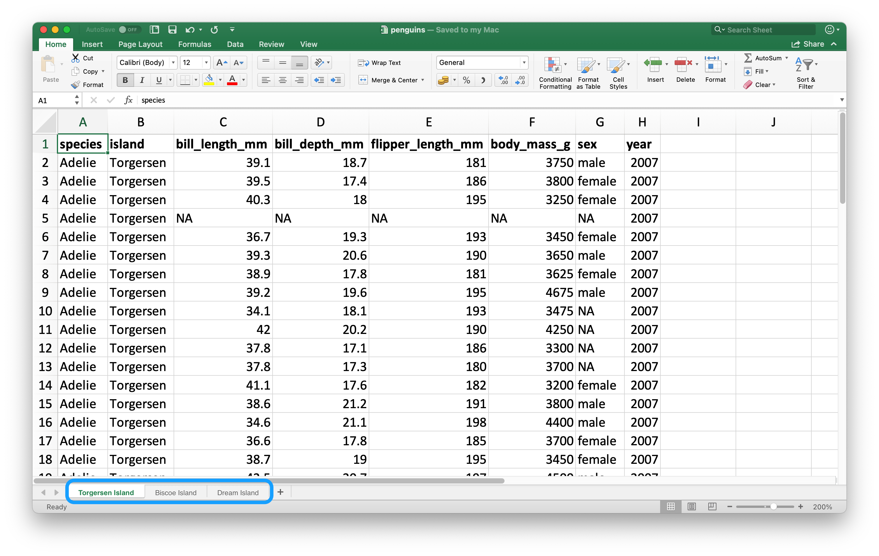 A look at the penguins spreadsheet in Excel. The spreadsheet contains has three sheets: Torgersen Island, Biscoe Island, and Dream Island.