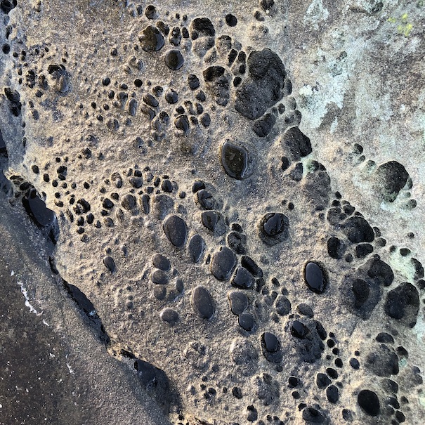 Honeycomb weathering on the coast of Gabriola Island, British Columbia. Image credit: Colin Robertson