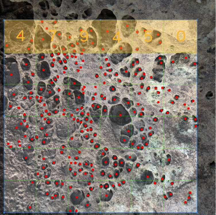 First row of cells with number of pits counted. Image credit: Colin Robertson