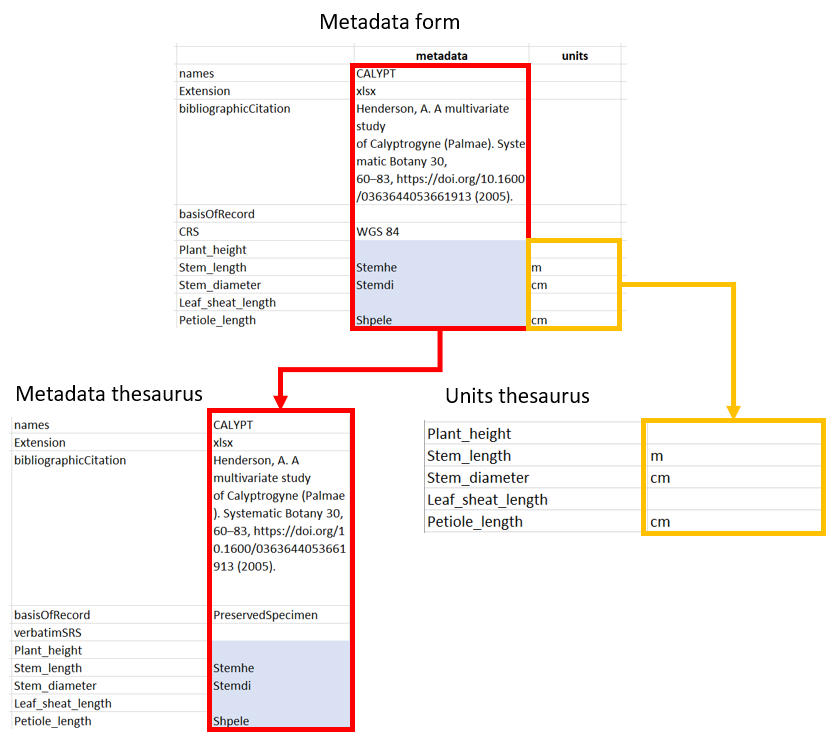 Fig. 6. Copying output columns to corresponding thesauri.