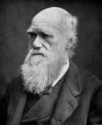 Charles Darwin (1809-1882)