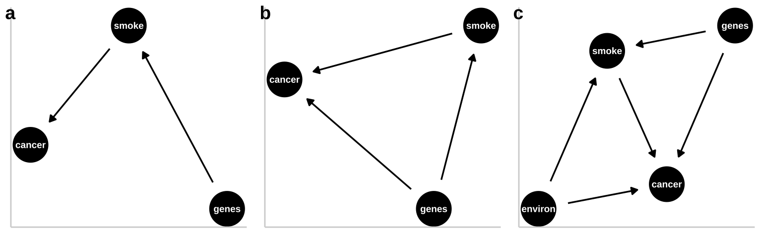 Three plausible DAGs concerning the relationship between smoking and cancer. **a** A *pipe* -- Genes cause smoking, and smoking causes cancer. **b** A *collider* -- genes cause cancer and smoking, and smoking causes cancer. **c** Complex reality -- Environmental factors cause smoking and cancer, and genetics cause smoking and cancer, while smoking too causes cancer.