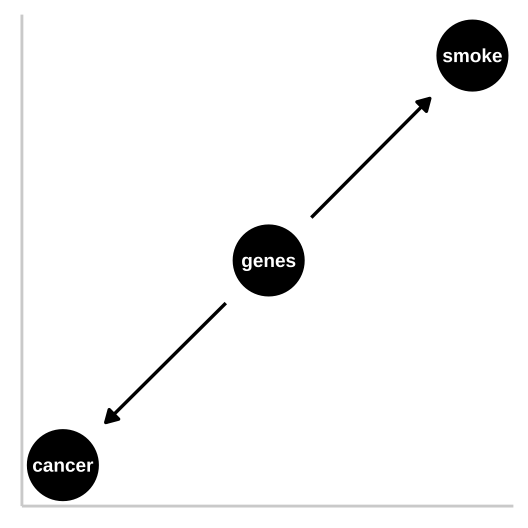 R.A. Fisher -- a pipe enthusiast, notorious asshole, eugenicist, and the father of modern statistics and population genetics was unhappy with this DAG. He argued that a **confound** could underlie the strong statistical association between smoking and lung cancer. Specifically, Fisher proposed that the propensity to smoke and to develop lung cancer could be causally unrelated, if both were driven by similar genetic factors.  Fisher's causal model is presented in th DAG to the right -- here genes point to cancer and to smoking, but no arrow connects smoking to lung cancer.