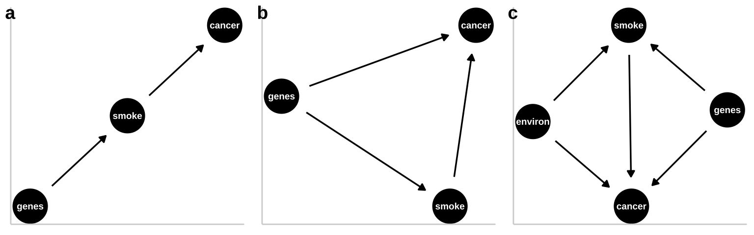 Three plausible DAGs concerning the relationship between smoking and cancer. **a** Genes cause smoking, and smoking causes cancer. **b** Genes cause cancer and genes cause smoking, and smoking causes cancer. **c** Environmental factors cause smoking and cancer, and genetics cause smoking and cancer, while smoking too causes cancer.