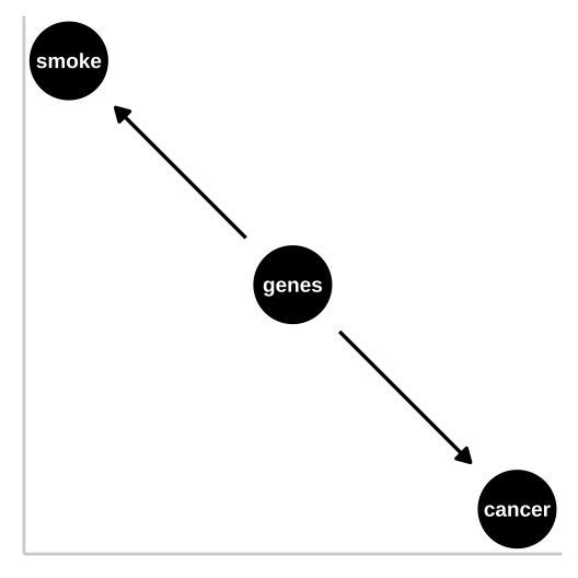 R.A. Fisher -- a pipe enthusiast, notorious asshole, eugenicist, and the father of modern statistics and population genetics was unhappy with this DAG. He argued that a **confound** could underlie the strong statistical association between smoking and lung cancer. A  **confounding variable** -- *is an unmodelled variables which distort the relationship between explanatory and response variables -- can bias our interpretation*. Specifically, Fisher proposed that the propensity to smoke and to develop lung cancer could be causally unrelated, if both were driven by similar genetic factors.  Fisher's causal model is presented in th DAG to the right -- here genes point to cancer and to smoking, but no arrow connects smoking to lung cancer.