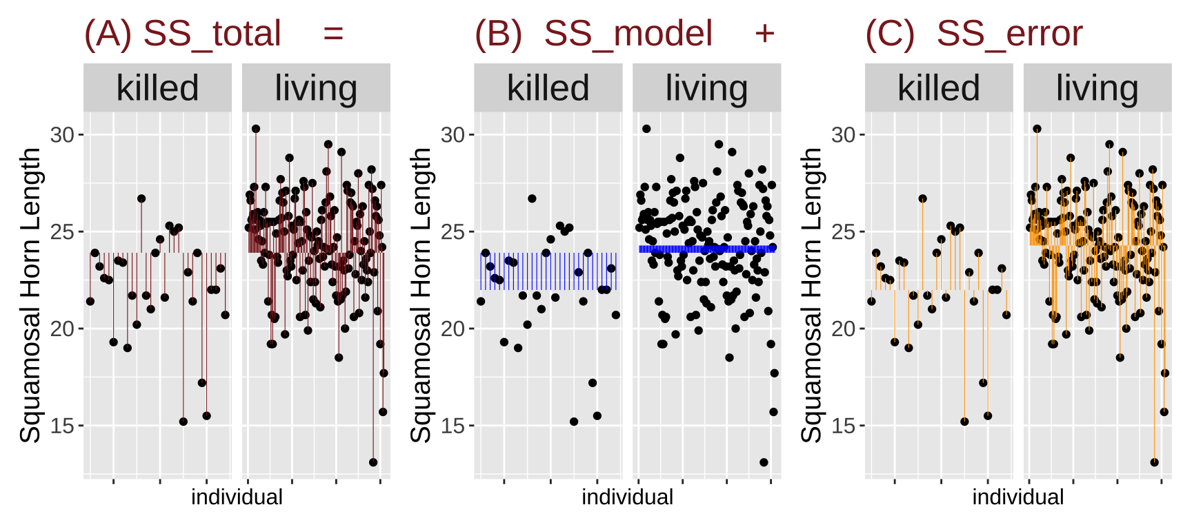 Three-panel plot illustrating the sum of squares decomposition for squamosal horn length in lizards grouped by survival (*killed* and *living*). Panel A shows total variation (SS_total) with red lines connecting points to the grand mean. Panel B shows model variation (SS_model) with blue lines connecting points to group means. Panel C shows error variation (SS_error) with orange lines connecting points to their respective group means. Each panel is facet-wrapped by survival status (*killed* on the left, *living* on the right), with individual data points plotted as black dots.