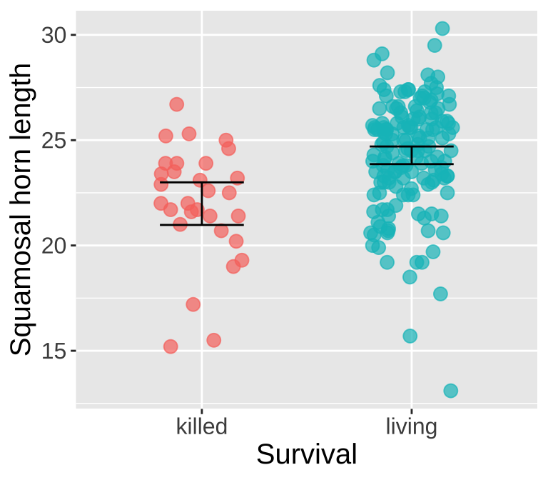 Scatter plot showing the relationship between squamosal horn length (y-axis) and survival status (x-axis) for lizards. The two survival groups, *killed* (on the left) and *living* (on the right), are represented by red and teal dots, respectively. Each dot represents an individual lizard. Horizontal black lines indicate the mean squamosal horn length for each group, with vertical lines representing standard errors around the mean. The *killed* group shows a lower mean squamosal horn length with a tighter distribution compared to the *living* group, which has a higher mean and a wider spread of values.