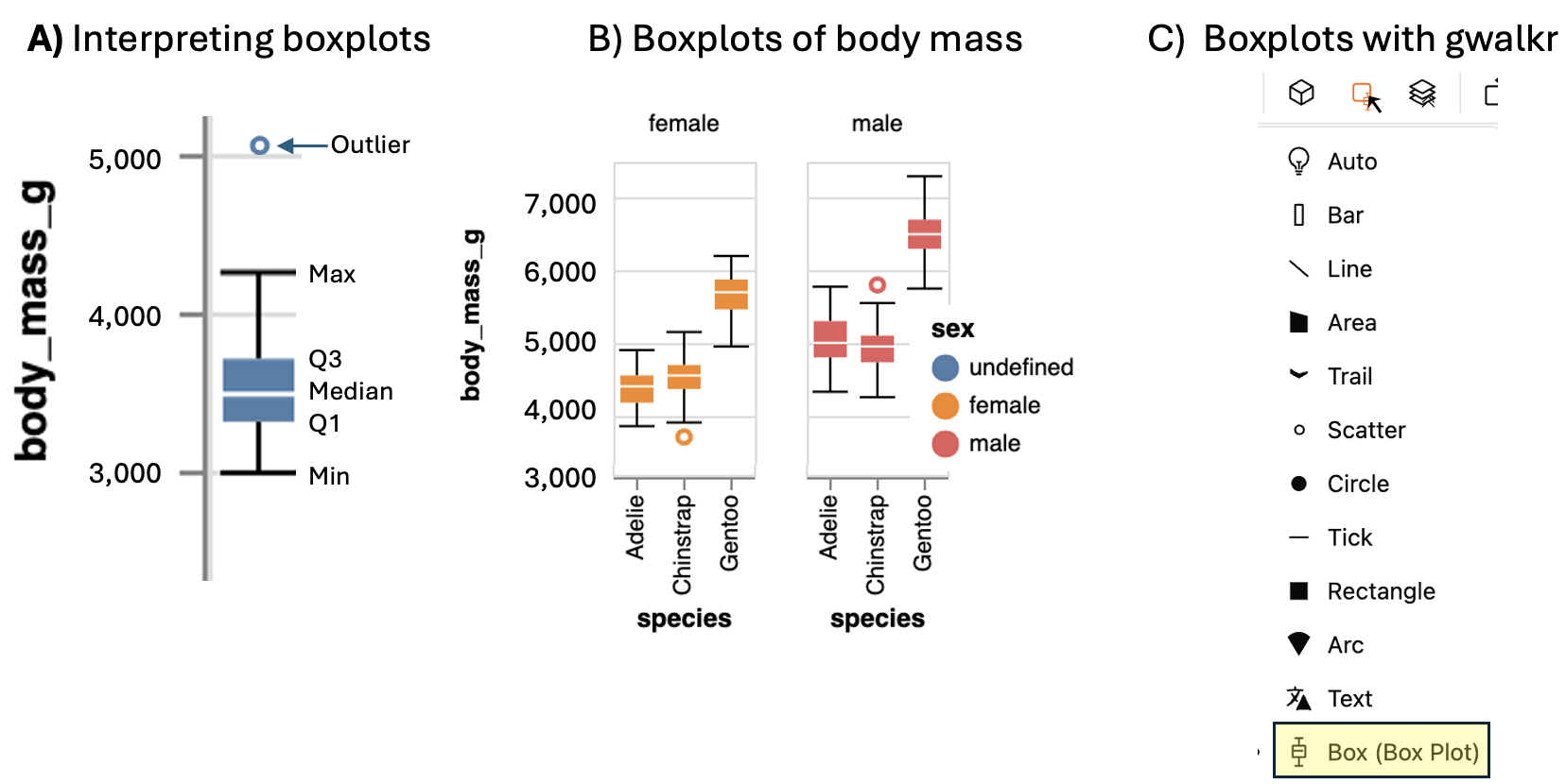 **A)** Boxplots display the four quartiles (max, Q3, media, Q2, and min) of our data. 75% of data points fall within the *box*, and the interquartile range is the difference between the top and bottom of the box. Extreme data points (aka outliers) are shown with a point. **B)** Boxplots of body mass of male and female penguins of three penguin species (modified from output of the interactive plot, above). **C)** Make  a boxplot with `GWalkr` by clicking on the square widget and selecting the boxplot option.