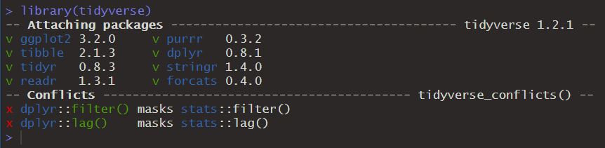 Tidyverse loading messages in the console.