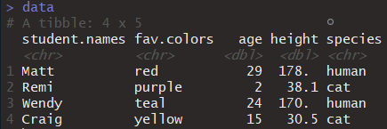 Console output after executing the data object.