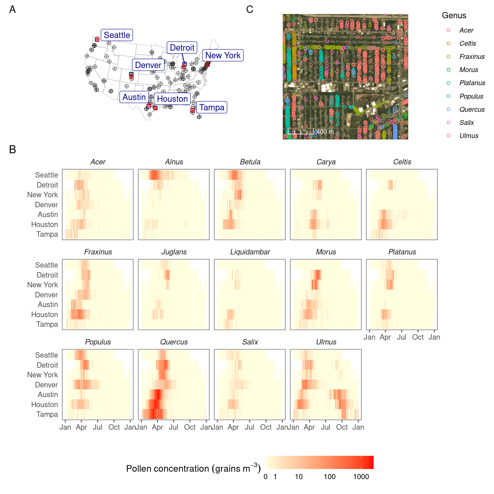 Pollen count and plant occurrence data. (A) Map of pollen counting stations associated with the National Allergy Bureau (NAB) and plant records near selected pollen counting stations. All pollen counting stations are marked in crossed circles, with ten selected stations in this study highlighted in red. Plant occurrence data from street tree inventory, land cover classification, and crowdsourcing are marked in blue points. (B) Pollen phenology of eleven key pollen-producing taxa in ten selected stations. (C) Spatial distribution of pollen-producing plants at ten study sites. Basemap show streets in cities. For simplicity, random 200 plants are visualized for each site.