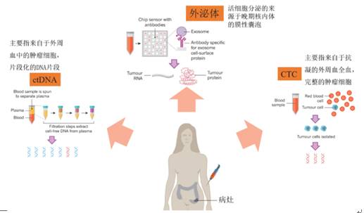 液体活检三大检测对象，ctDNA是目前临床运用最多的。